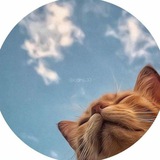Telegram profile photo for ر̀وزيتآ̀ َ،"🖤 ֆ ۦٰ،