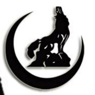 Telegram profile photo for zero five gang