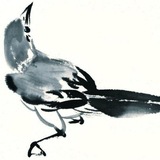 Telegram profile photo for 𝐃𝐀𝐄𝐌𝐎 ' info