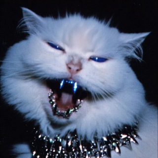 Telegram profile photo for HI