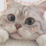 Telegram profile photo for Cute wallpaper