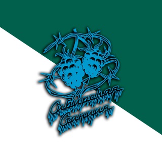 Telegram profile photo for СИБИРСКАЯ СТАНЦИЯ