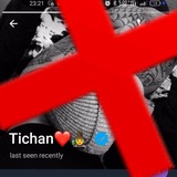 Telegram profile photo for @alekseev888 Ticha♥️🧙 scammer