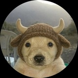 Telegram profile photo for The Jotchua Bull