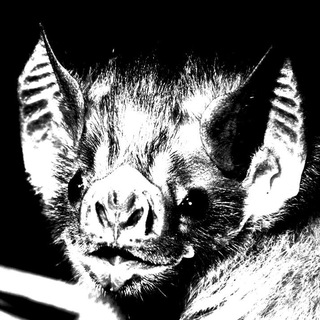 Telegram profile photo for 𝔯𝔬𝔱𝔱𝔦𝔫𝔤 𝔟𝔬𝔫𝔢𝔰 18+