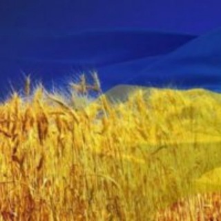 Telegram profile photo for Украина сегодня