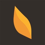 Telegram profile photo for TheGandomin