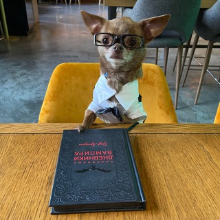 Telegram profile photo for #книгиотрекса