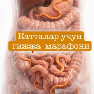 Telegram profile photo for Гижжа тозалов катталар учун марафон