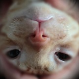 Telegram profile photo for Zhivnost