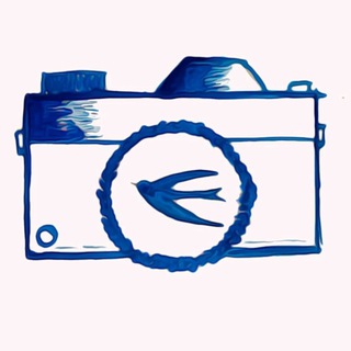 Telegram profile photo for Провинция 58