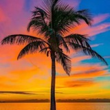 Telegram profile photo for Жизнь, а не отдых на Юге