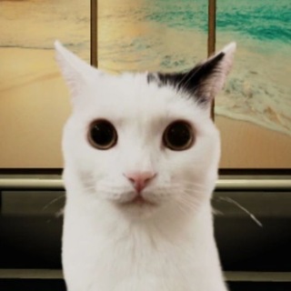Telegram profile photo for Слизнекот фрейсан (РЕСТ)