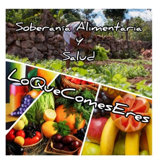 Telegram profile photo for @LoQueComesEres SOBERANIA ALIMENTARÍA Y SALUD