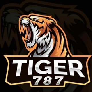 Telegram profile photo for TIGER787