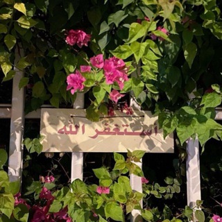 Telegram profile photo for ◝ وبـشـر الـمـؤمـنـيـن ◟
