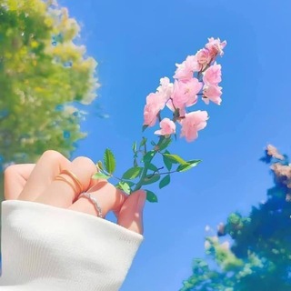 Telegram profile photo for لُْٱ تْٰيٰۛأسَٰ ،🖇❤️ ⌯﴾❥