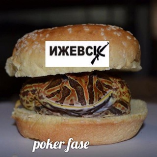 Telegram group profile photo for мемы про котов (по ржать) Chat