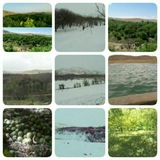 Telegram profile photo for روستای شهرباز