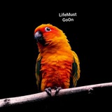 Telegram profile photo for Life Must Go On ππ·π