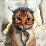 Telegram profile photo for Floki Cat Portal