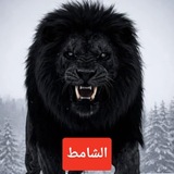 Telegram profile photo for الشامط 🫵