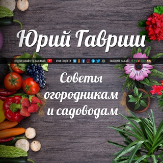 Telegram profile photo for Дача. Сад. Огород: Полезные советы по дому и участку