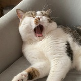 Telegram profile photo for васька chanel