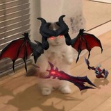 Telegram profile photo for Han
