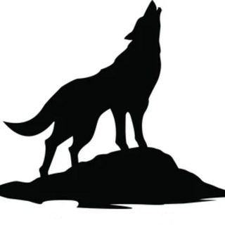 Telegram profile photo for the small dog