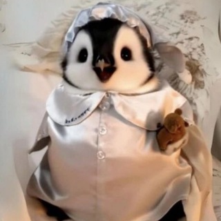 Telegram profile photo for Sunghoon