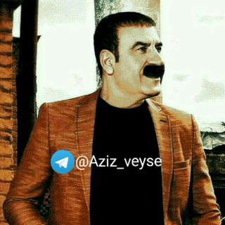 Telegram profile photo for عزیز ویسي 🎤🎹🎶
