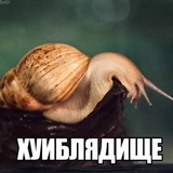 Telegram profile photo for хуиблядище трезвый только джекс(к сожалению) | freakshow int LIFE