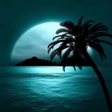 Telegram profile photo for جزیره جغرافیا 🏝