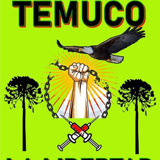 Telegram profile photo for TEMUCO X LA LIBERTAD