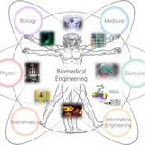 Telegram profile photo for Biomedical Engineering Management
