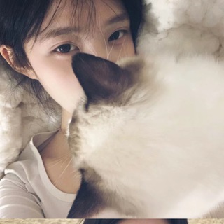 Telegram profile photo for 琴—盛世年华