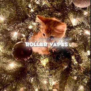 Telegram profile photo for ᗰᗴᖇᖇᎩ ᐯ&ᑭᗴ🎄✨