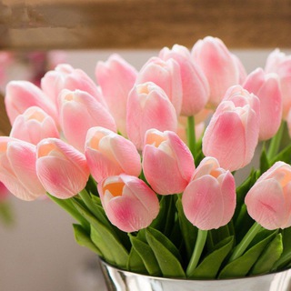 Telegram profile photo for Tulipπ·