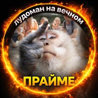 Telegram profile photo for лудоман на вечном прайме