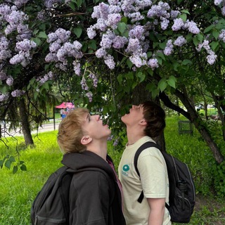 Telegram profile photo for SHMA
