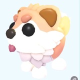 Telegram profile photo for Кивиш деградация