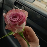 Telegram profile photo for عيناً للعين