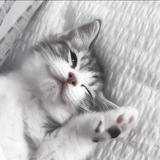 Telegram profile photo for Домик ликси