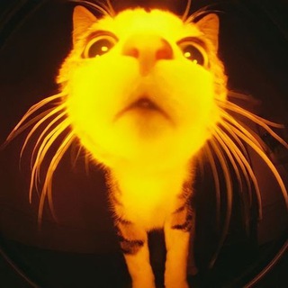 Telegram profile photo for лЕгушкин дневник