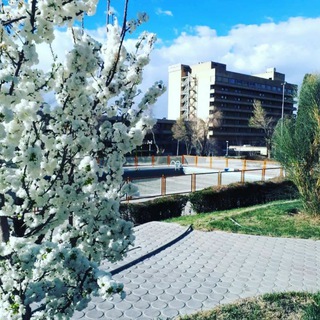 Telegram profile photo for بیمارستان شهید مطهری