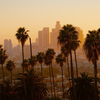 Telegram profile photo for Лос-Анджелес | Los Angeles 🌴