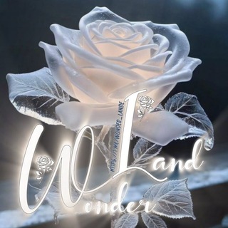 Telegram profile photo for 𝙒𝙤𝙣𝙙𝙚𝙧𝙡𝙖𝙣𝙙
