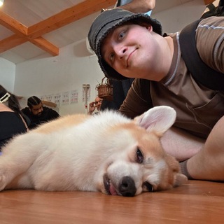 Telegram profile photo for лонямистия