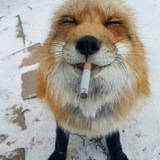 Telegram profile photo for ы